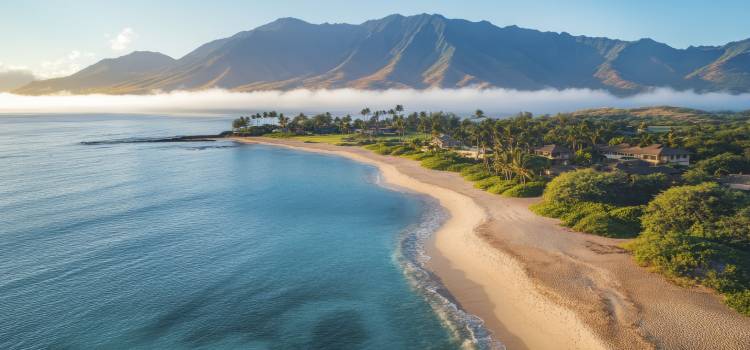 Hawaii Tour